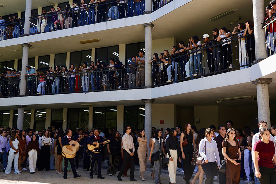 IMG 1651